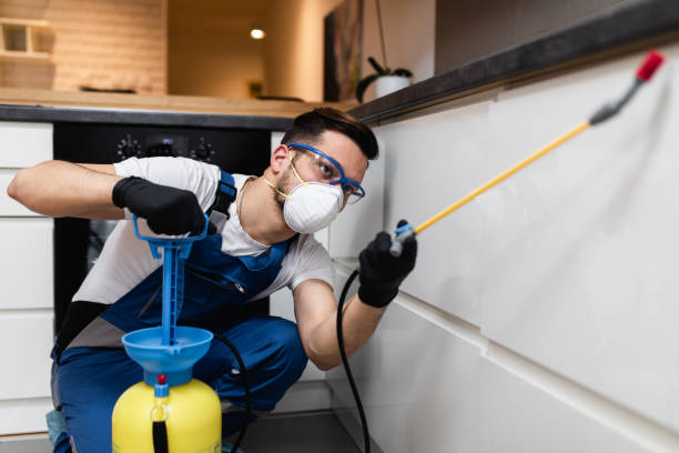 Best Emergency Pest Control  in Oakleaf Plantation, FL