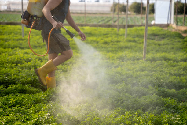 Trusted Oakleaf Plantation, FL Pest Control Experts