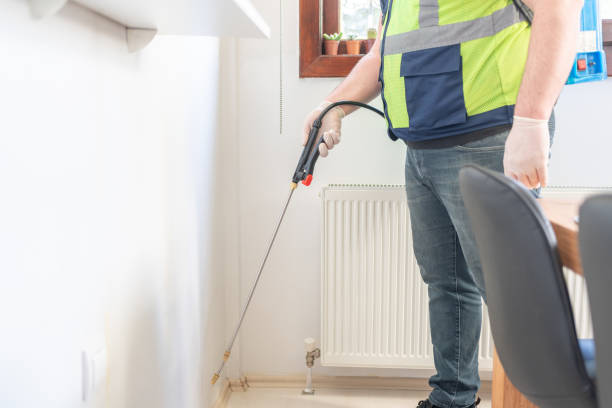 Best Flea Control Services  in Oakleaf Plantation, FL