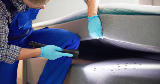 Best Pest Prevention Services  in Oakleaf Plantation, FL