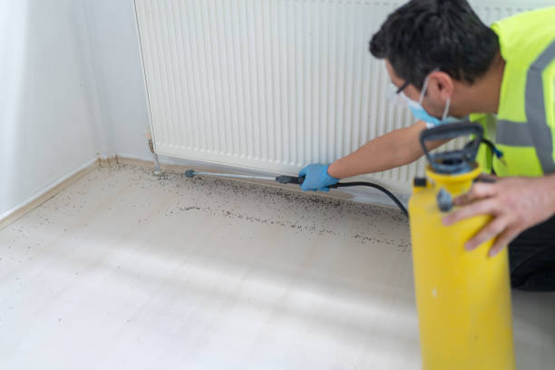 Best Mosquito Control Services  in Oakleaf Plantation, FL